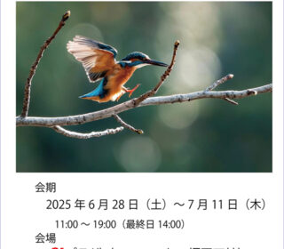 九州GLOWS 写真展「ときめきの瞬間」
