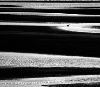 小さなフォトギャラリー②