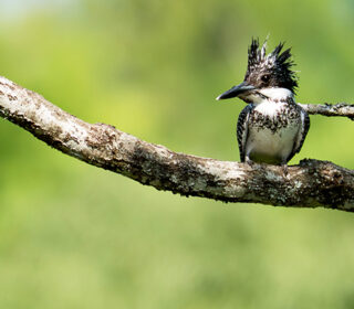 小さなフォトギャラリー