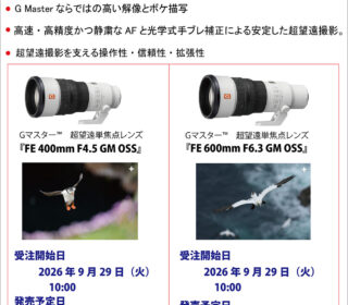 焦点距離400 mmおよび600 mmで世界最軽量を実現した 超望遠単焦点レンズ Gマスター™ 2機種を発売！！